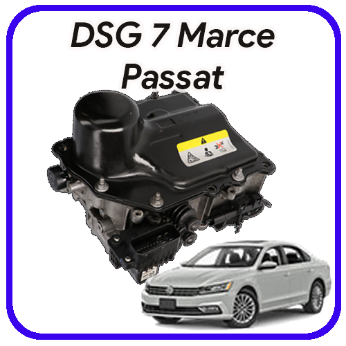 Meccatronica DSG 7 marce Passat Revisione e servizi